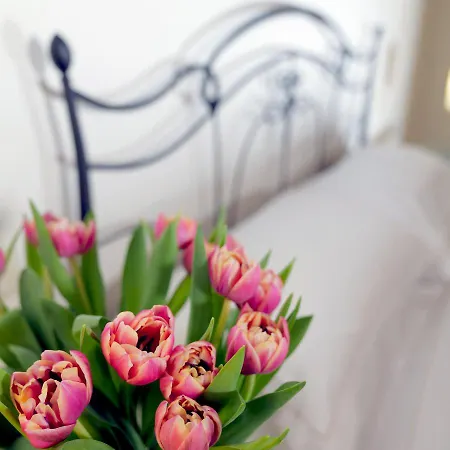 La Corte Dei Sogni Модена