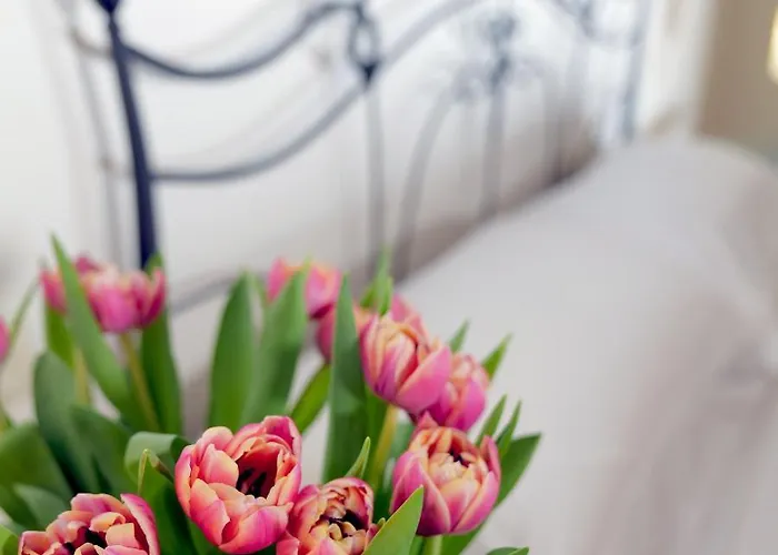 La Corte Dei Sogni Modena